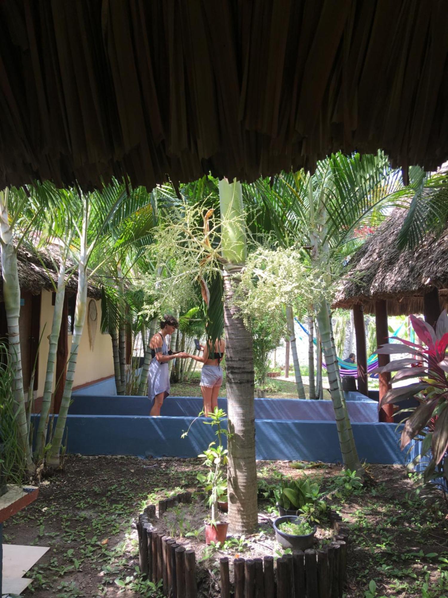 Casa Bokoba Bacalar Hotel Eksteriør billede
